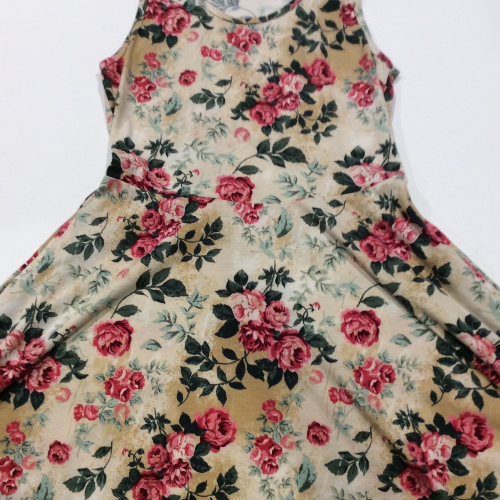 LuLaRoe Nicki Dress